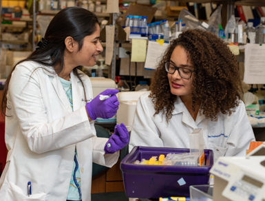 Two women working in research