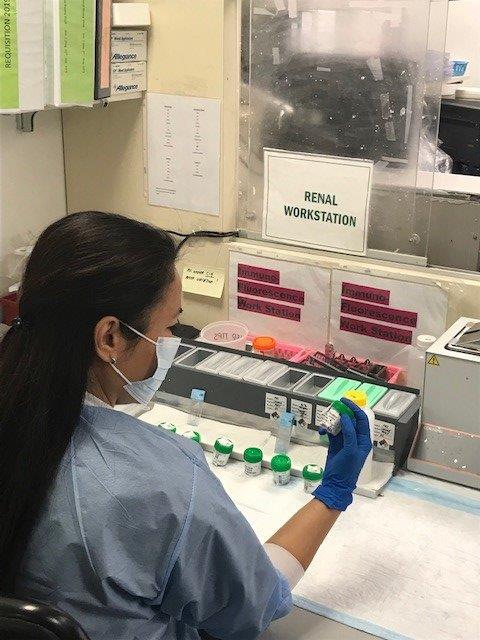 histotechnologist
